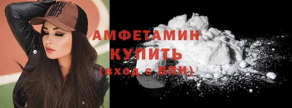 индика Михайлов