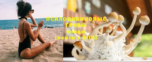 ГАЛЛЮЦИНОГЕННЫЕ ГРИБЫ Абдулино
